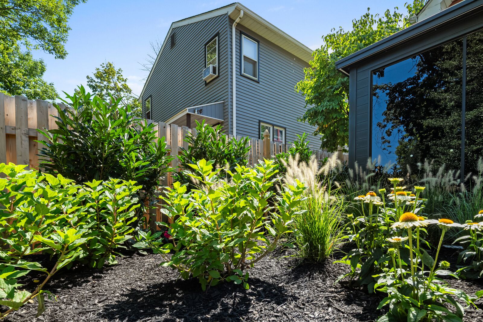Planting beds of shrubs, ornamental grasses and coneflowers in fresh mulch